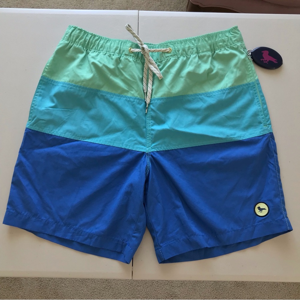 Modern Amusement // NWOT Color Block Board Shorts